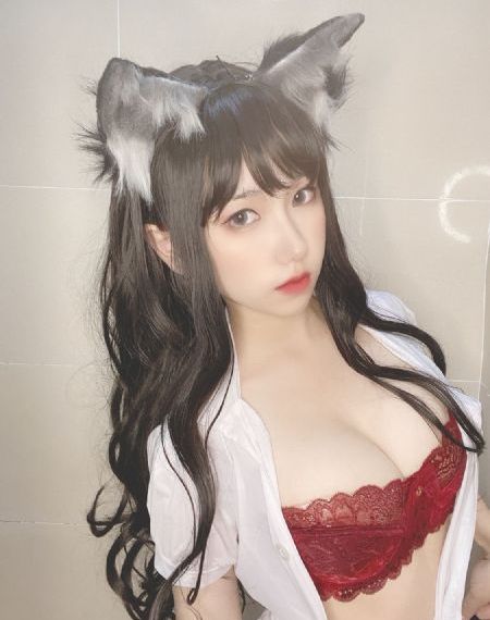 维度战记