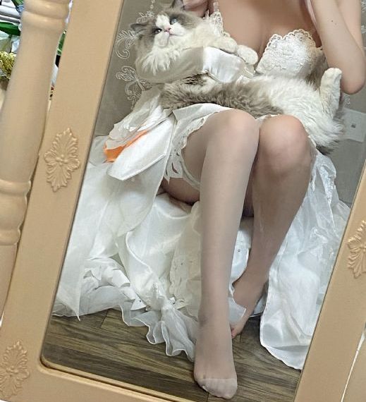 我的上司是吸血鬼