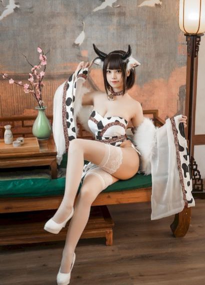 电视剧惊弦全集免费观看