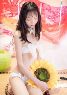 动漫后宫露营